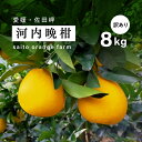 【ふるさと納税】【先行予約】Saito Orange Farmの家庭用河内晩柑8kg ｜ 柑橘 みかん ミカン フルーツ 果物 愛媛　※2025年6月上旬頃より順次発送予定