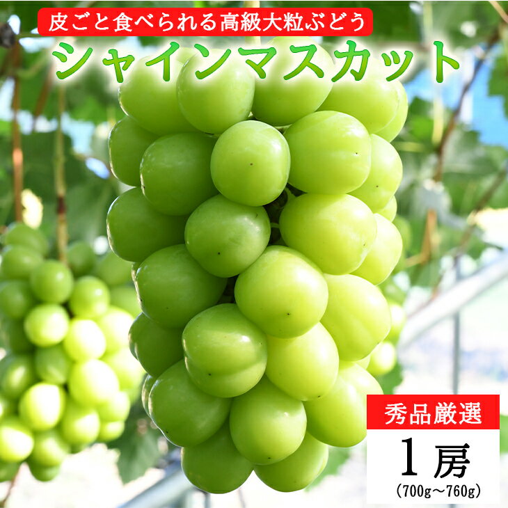 【ふるさと納税】＜予約受付！2025年秋発送＞秀品厳選！シャインマスカット1房ギフト化粧箱入