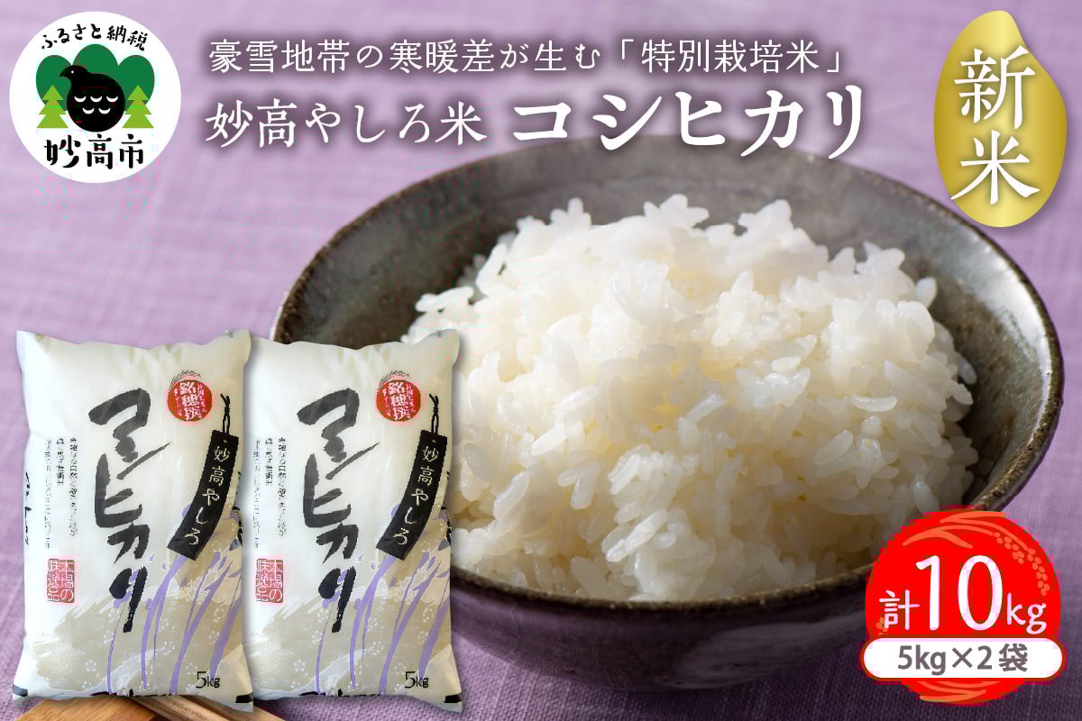 
            令和7年産 新潟県 妙高やしろ米 コシヒカリ10kg(5㎏×2袋) 【11月中旬より発送】 お米 米 コメ 精米 新潟 妙高市 米どころ こめ ご飯 ごはん ライス 弁当
          