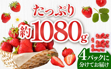 【2月以降順次発送】いちご あまおう 約270g×4パック 那珂川市 いちご フルーツ くだもの 果物 あまおう 九州産 苺 国産 10000 10000円 [GBR001]