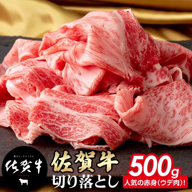 佐賀牛 牛肉切り落とし 500g 牛肉切り落とし B140-048