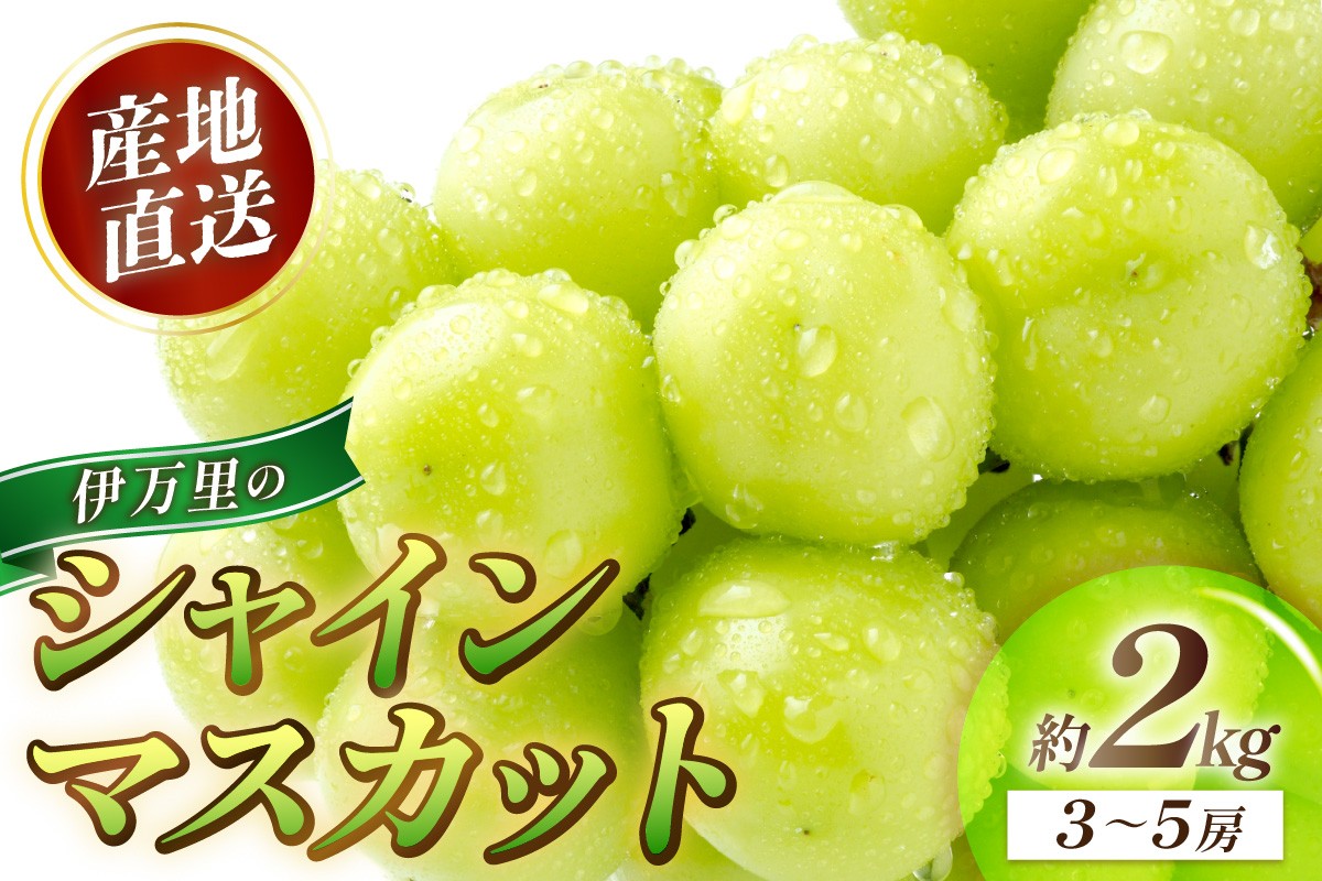 
            伊万里のシャインマスカット 約2kg（3～5房） 178-B745
          