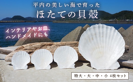 
                  ほたての貝殻（特大・大・中・小）4枚セット 【ひらない暮らし北限椿舎】 ホタテ 貝殻 サイズ 殻 インテリア 食器 皿 グラタン皿 アウトドア キャンプ 工作 材料 ハンドメイド 青森県 平内町 F21J-371
                