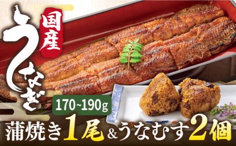 鰻 蒲焼き 1尾 ＆ うなむす 2個 セット 糸島市 / 北ノ屋うなぎ ウナギ おにぎり セット [ACL006]