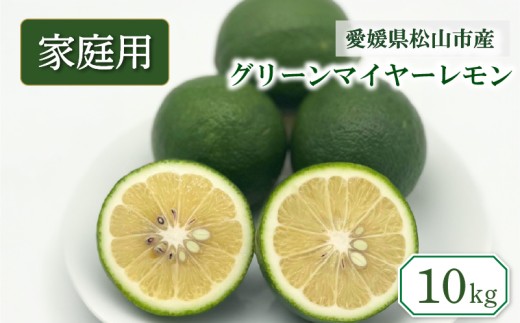 【2026年9月中旬頃から順次発送】家庭用 グリーンマイヤーレモン 10㎏  | 果物 くだもの フルーツ グリーンレモン ぐりーんれもん  