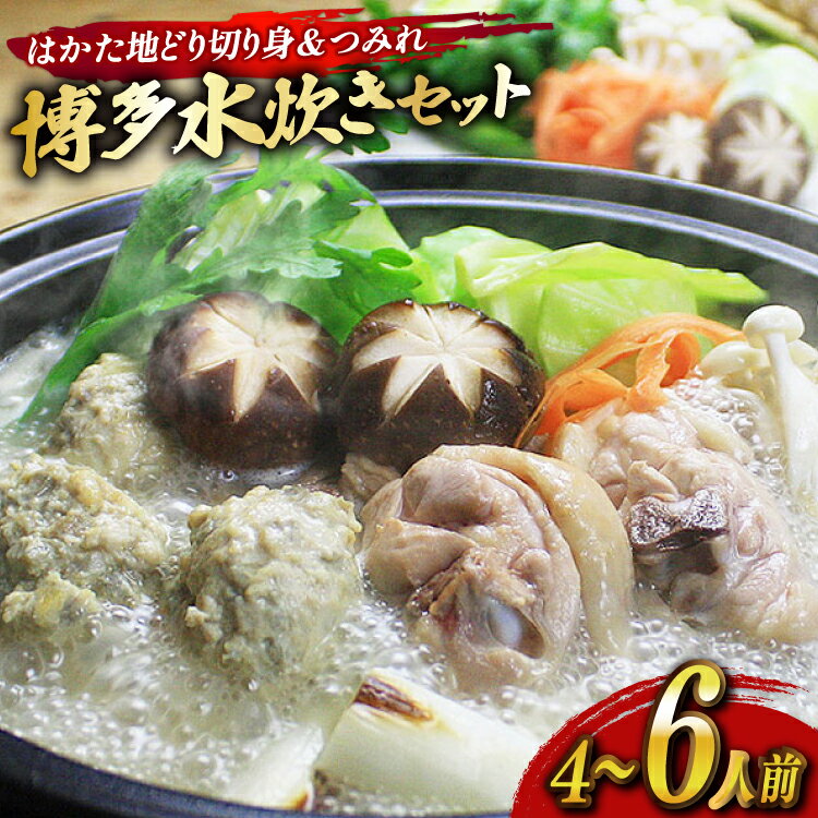 【ふるさと納税】 水炊き セット 4～6人前 はかた地どり 切り身 つみれ [ベネフィス 福岡県 宇美町 um40azp190030] 水たき 具材 スープ はかた地どり 切り身 つみれ