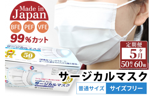 
《定期便5ヶ月》国内製造 高性能サージカルマスク 普通サイズ 50枚入り×60箱 (合計3,000枚)×5回 5か月 5ヵ月 5カ月 5ケ月
