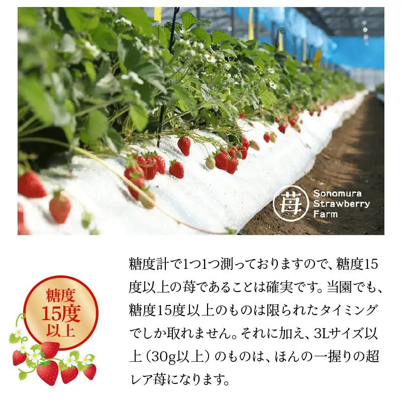 【先行受付】【1月発送】園村苺園 ★最高級苺★糖度15度以上＋3Lサイズ以上★「宇土乃香」苺500ｇ_U74-0051_01