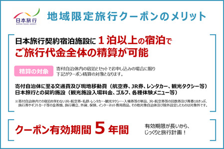 北海道登別市 地域限定旅行クーポン 30,000円分 日本旅行 トラベルクーポン 納税チケット 旅行 宿泊券 ホテル 観光 旅行 旅行券 交通費 体験  宿泊 夏休み 冬休み 家族旅行 ひとり旅 カッ