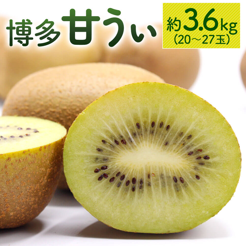 【ふるさと納税】＜予約＞博多 甘うぃ キウイフルーツ 約3.6kg 【2025年11月上旬～11月下旬発送予定】 福岡県産 追熟 キウイ 果物 フルーツ 九州産 国産 冷蔵 送料無料