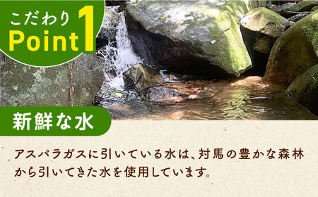 訳あり！朝採れアスパラガス１kg 《対馬市》【農家くんのアスパラファーム】  冷蔵 アスパラ とれたて 新鮮 野菜　産地直送 1万円 10000円[WCT001]