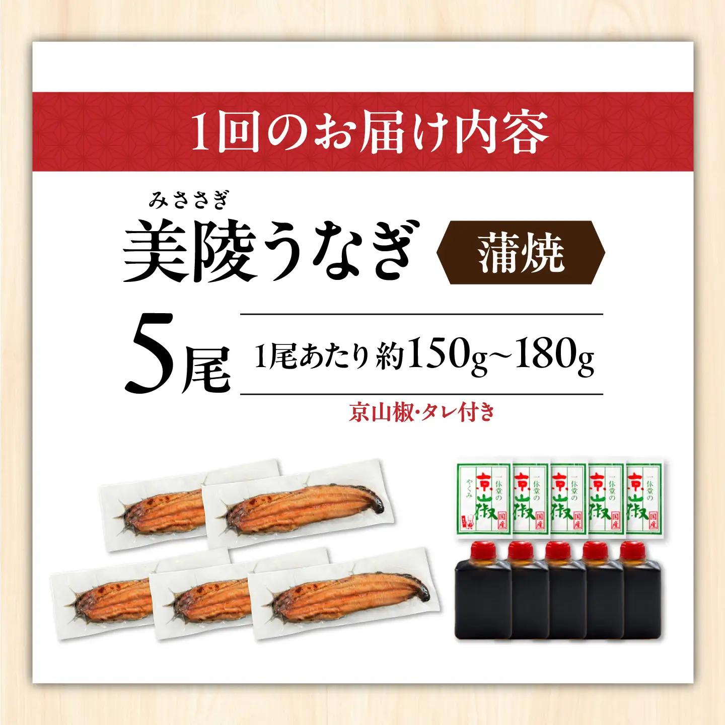 【全6回定期便】鰻 鰻の蒲焼 5尾 / 美陵鰻 鰻 うなぎ ウナギ 蒲焼 蒲焼き かば焼き かばやき 白焼き 白焼 しろやき しらやき 特大 肉厚 うな重 うな丼 ひつまぶし 惣菜 おかず タレ 山椒