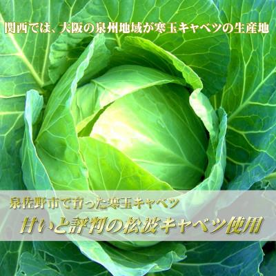 ふるさと納税 泉佐野市 生餃子 50個セット【小分け 5パック 甘いと評判 松波キャベツ使用】 010B1538 |  | 01
