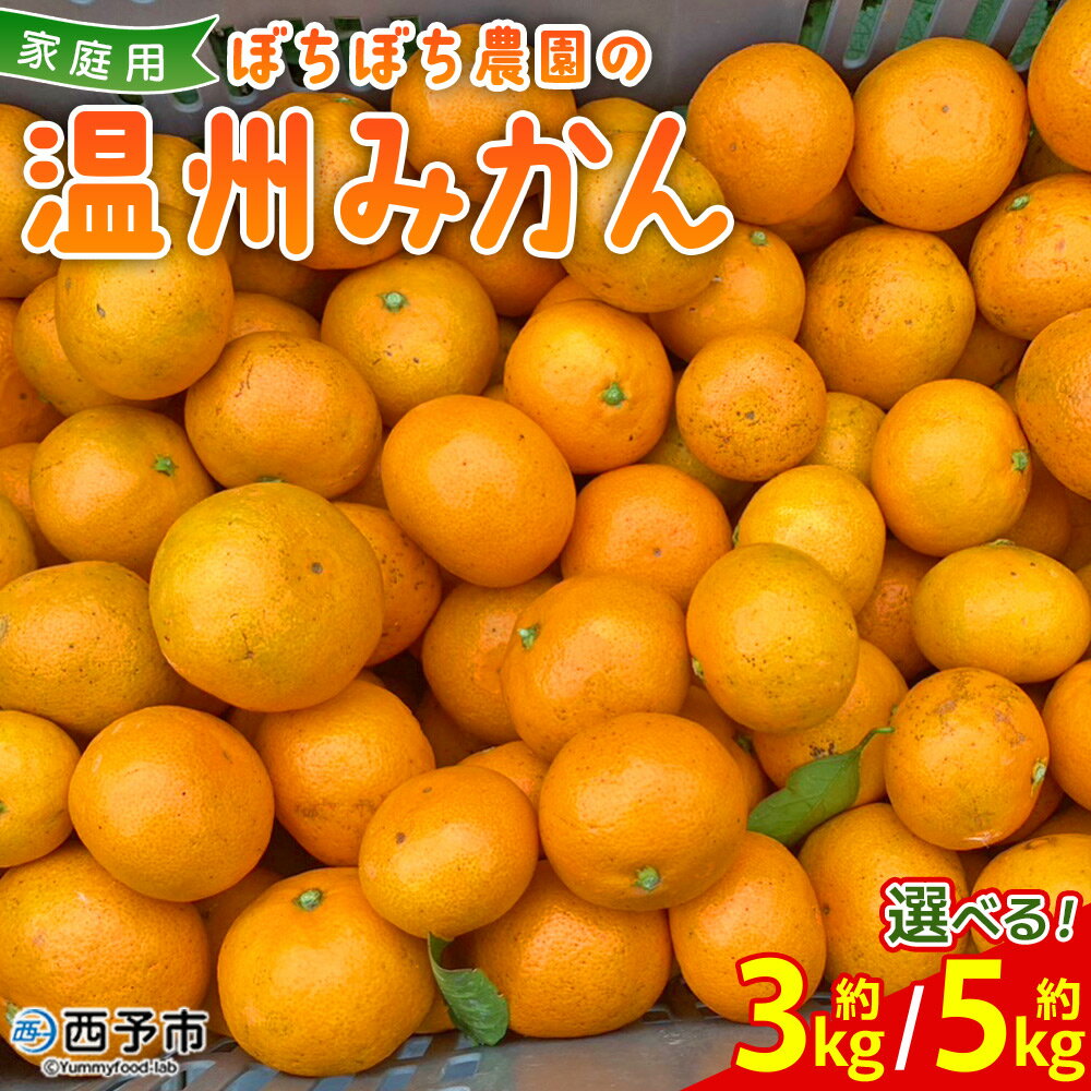 【ふるさと納税】＜ぼちぼち農園の温州みかん 家庭用 3/5kg＞ 選べる 3キロ 5キロ うんしゅうみかん 温州ミカン 訳あり わけあり ワケアリ 果物 みかん ミカン 柑橘 フルーツ 国産 特産品 ぼちぼち農園 愛媛県 西予市【常温】『2025年11月～12月迄に順次出荷予定』