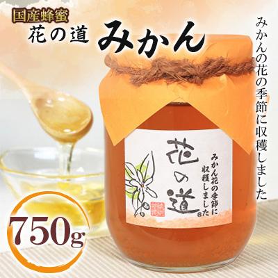ふるさと納税 広川町 みかん　750g(広川町)