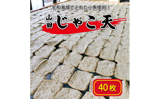 
山田のじゃこ天 40枚 じゃこ天 すり身 さつま揚げ 郷土料理 おつまみ 肴 魚肉練り製品 揚げかまぼこ 愛媛県 南予 愛南町 特産品 お取り寄せ 送料無料 おいしい
