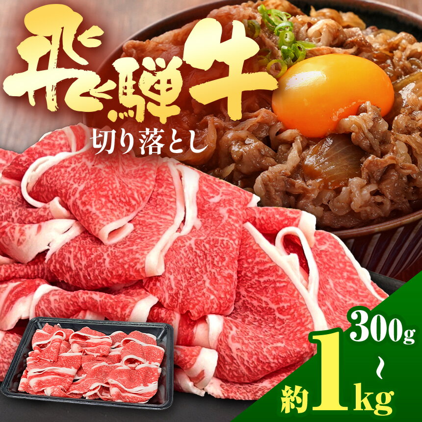 【ふるさと納税】飛騨牛 切り落とし【 選べる容量 】| 300g 500g 1kg 飛騨牛 黒毛和牛 牛 和牛 肉 お肉 精肉 国産 切り落とし 赤身 炒め物 牛丼 肉じゃが カレー 焼肉 おかず 贈答 家庭用 ジューシー とろける 冷凍 岐阜県 北方町