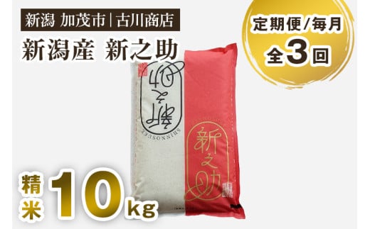 【令和7年産】【定期便3回毎月お届け】新潟の新ブランド米「新之助」精米 10kg 《順次発送》 白米 お米 米 大粒 加茂市 お米の専門店 古川商店 定期便