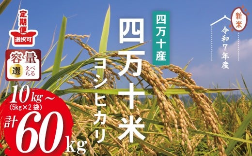 
            【令和7年産】四万十産 四万十米 コシヒカリ 10kg 30kg 60kg 定期便 国産 こしひかり 5kg 令和7年 2025年 精米 白米 米 おこめ こめ コメ ご飯 ごはん ふっくら もちもち 四国 高知 四万十 しまんと 農法米 募金 四万十川
          