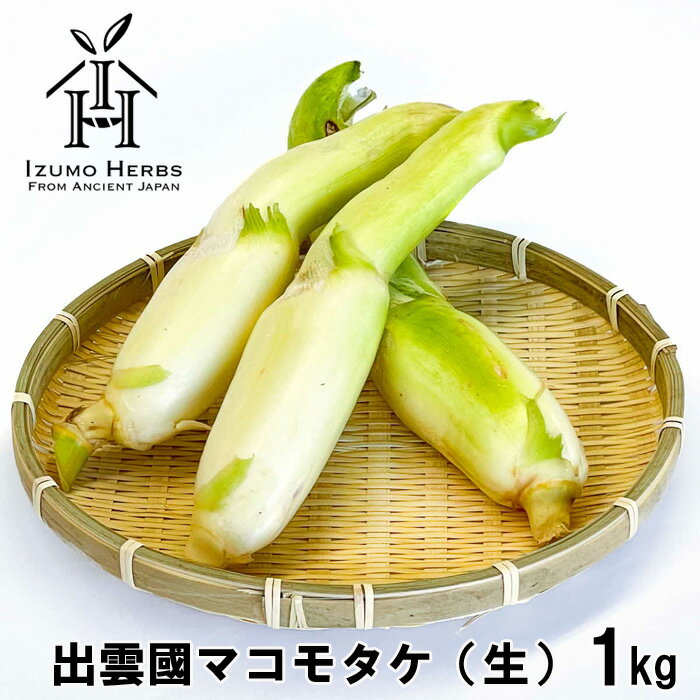 【ふるさと納税】出雲國 マコモタケ（生）1kg 出雲市産 | 数量限定 まこも 野菜 やさい 冷蔵 お取り寄せ ご当地 調理 料理