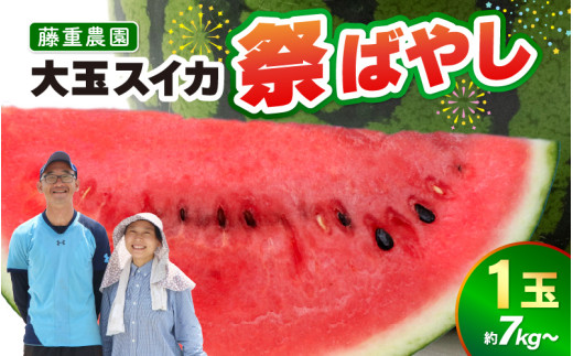【先行予約】藤重農園の大玉スイカ『祭ばやし』 1玉（7kg～） ≪満足度高い大きなスイカ≫※2026年6月中旬以降順次発送 [aw083-a003]