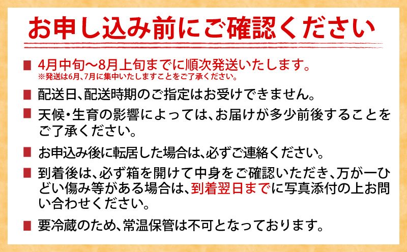 数量限定 日南市産 完熟 マンゴー 2L以上×2玉 フルーツ 果物 果汁 希少 濃厚 ジューシー 贅沢 上質 ご褒美 人気 国産 食品 おやつ デザート 産地直送 おすすめ ギフト プレゼント 贈り物