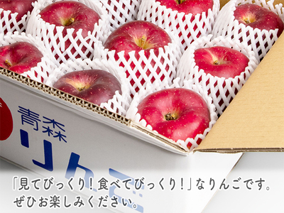 りんご おいらせ ヒバリノ園 青森県産 りんご【約5kg(6～10玉)】