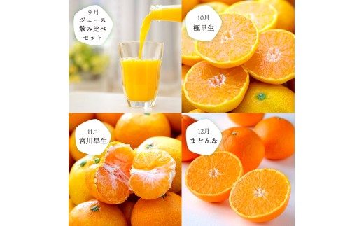 ＜発送月固定定期便＞愛媛の人気品種を厳選!みかん定期便(秀品)＜H25-166＞全12回【4054625】 YWTAP107