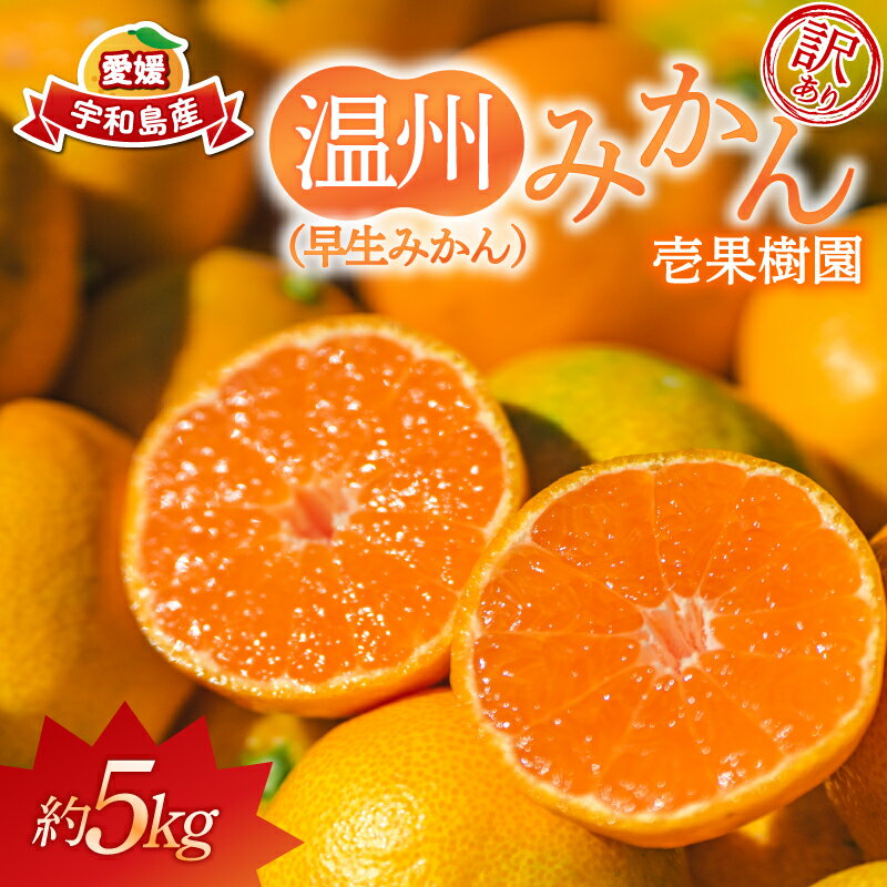 【ふるさと納税】 訳あり 早生 温州 みかん 5kg 壱果樹園 わけあり mikan 早生温州 温州みかん 早生みかん 果物 くだもの 愛媛みかん 愛媛蜜柑 愛媛ミカン 訳アリ 訳あり品 訳有り 愛媛ミカン 愛媛県産 フルーツ 柑橘 蜜柑 産地直送 数量限定 国産 愛媛 宇和島 B010-141003