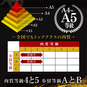 【茨城県共通返礼品】最高級常陸牛 ローストビーフ 2パック（計300g） 常陸牛使用｜ブランド牛 銘柄牛 和牛 黒毛和牛 国産 A5・A4ランク 等級 お肉 牛肉 小分け 個包装 茨城県 大子町（DD