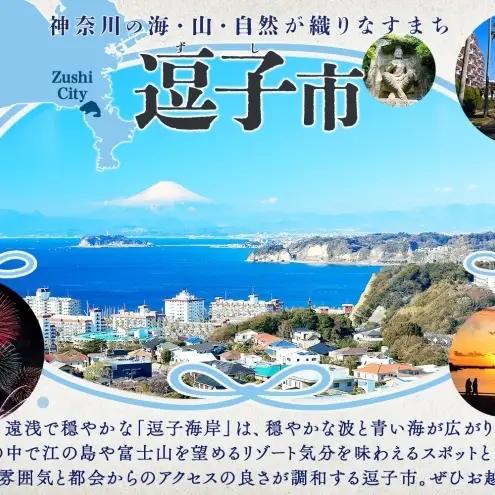フィンガーライム 栽培体験セット 柑橘 フルーツ 苗 栽培セット 植木鉢 家庭菜園 ガーデニング ワクワクプラント 食育 植育 初心者 植替え済 AIサポート マニュアル付き 体験 神奈川県 逗子市 