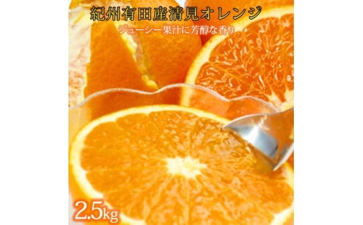 とにかくジューシー清見オレンジ　2.5kg※2026年3月下旬頃〜2026年4月中旬頃に順次発送予定