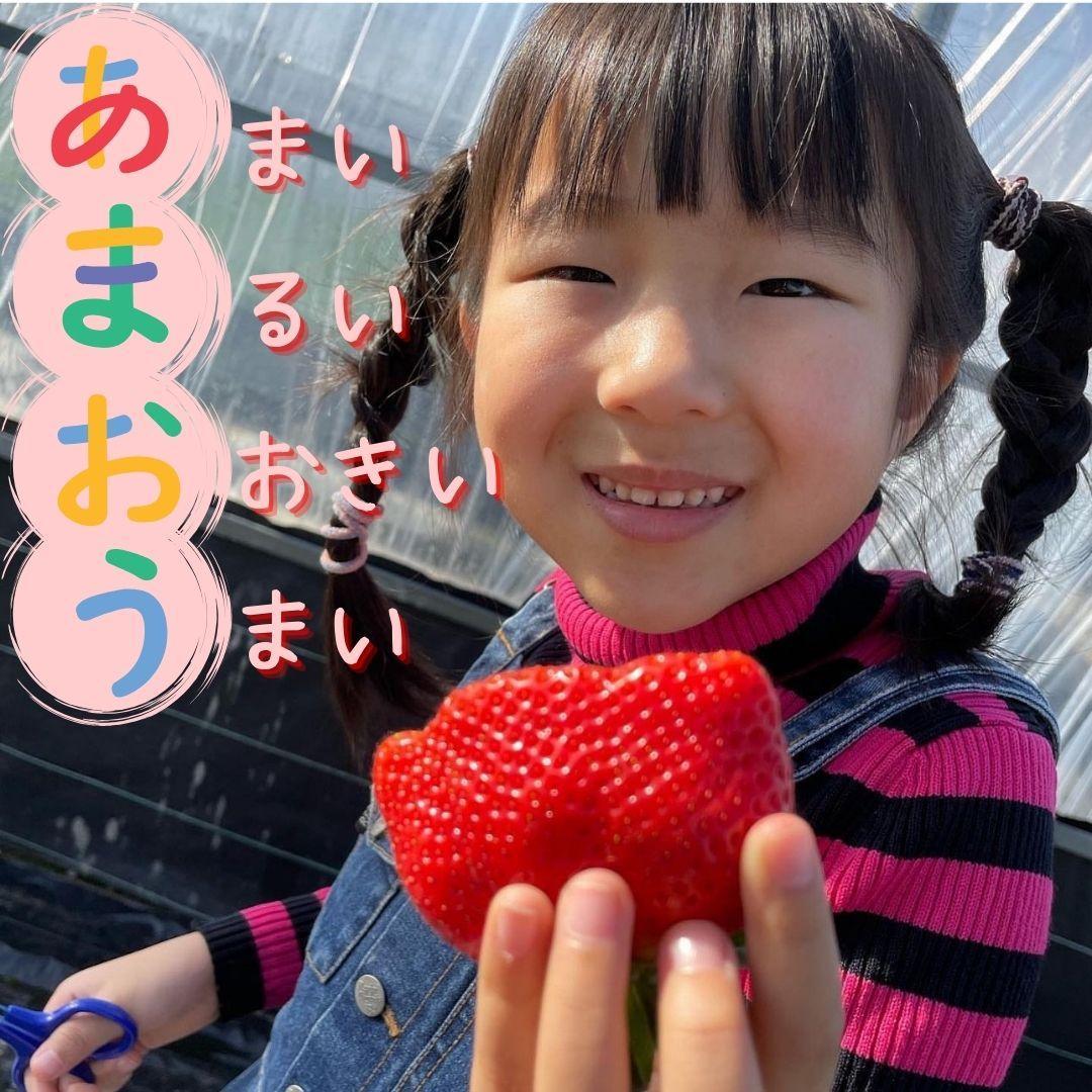 【福岡スイーツ自然の贈り物】かわいい化粧箱入り！福岡県産冷凍あまおう合計2kg(500g×4袋)