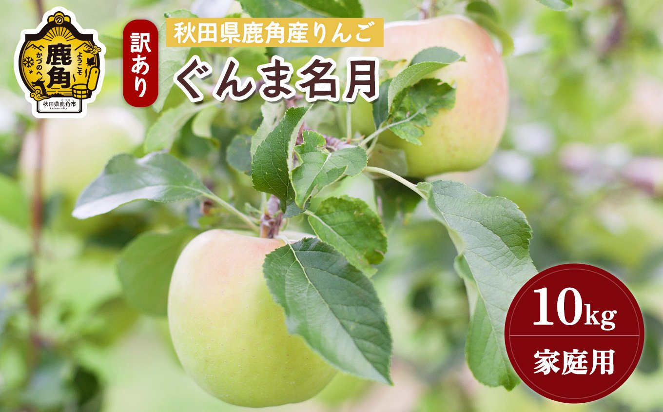 
            《先行予約》秋田県鹿角産りんご 雪国育ちの 訳あり「ぐんま名月」家庭用 10kg（40～46玉入）【山麓園】●2025年10月下旬発送開始
          