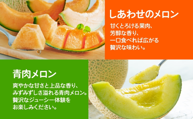 ＜2025年発送 先行受付＞ふらの産 しあわせのメロン 赤肉 青肉 メロン 2玉 セット 計4kg 富良野メロン 果物 フルーツ 甘い ギフト 贈答 産地直送 お取り寄せ 送料無料 ウエノ農園 北海道
