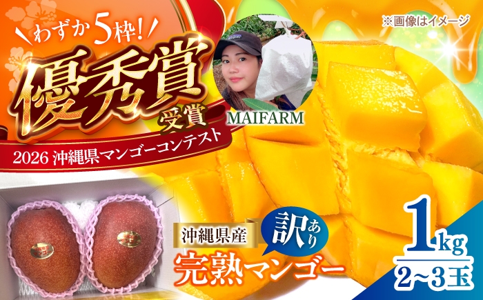 
                  マンゴー 訳あり 1kg (2〜3玉)【2027年発送 先行予約】 MAIFARM [BCAN003] マンゴー フルーツ ふるーつ まんごー くだもの 果物 Mango MANGO mango 果実 トロピカルフルーツ 訳アリ わけあり ワケあり ワケアリ 沖縄県産 完熟 芒果 家庭用 国産 南国 デザート 産地直送 直送 季節限定 旬 スイーツ 国産 家庭用 ご当地 特産品 送料無料 沖縄市
                