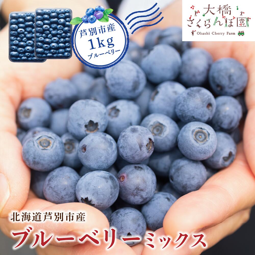 【ふるさと納税】【 先行受付 】ブルーベリー ミックス 1kg 冷蔵 果物 くだもの フルーツ 旬の果物 旬のフルーツ 8品種 ミックスブルーベリー 大粒 小粒 北海道 芦別市　お届け：2026年8月中旬頃～
