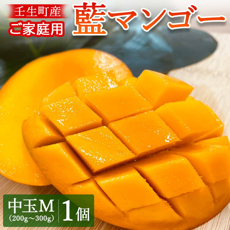 【ふるさと納税】壬生町産家庭用藍マンゴー 中玉M（200g～300g）1個 | マンゴー フルーツ 果物 くだもの 国産 栃木県 壬生町 ※2026年7月～発送