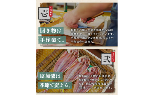 お楽しみ セット H 真アジ あじ 金目 金目鯛 キンメダイ カレイ サンマみりん 味醂干し さんま 丸干し イカ いか 一夜干し 塩辛 イカ塩辛 ムロアジ 燻製 金目味噌漬け 味噌漬け くんせい スモーク 須崎 伊豆 下田 静岡 ほうえい