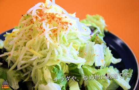 水で戻して手軽にお料理！徳之島産乾燥青パパイヤ（15g×3袋）( パパイヤ 野菜 国産 安心 安全 食材 徳之島 奄美 鹿児島 サラダ 炒め物 ポリフェノール ビタミンC 食感 ポストイン配送 )