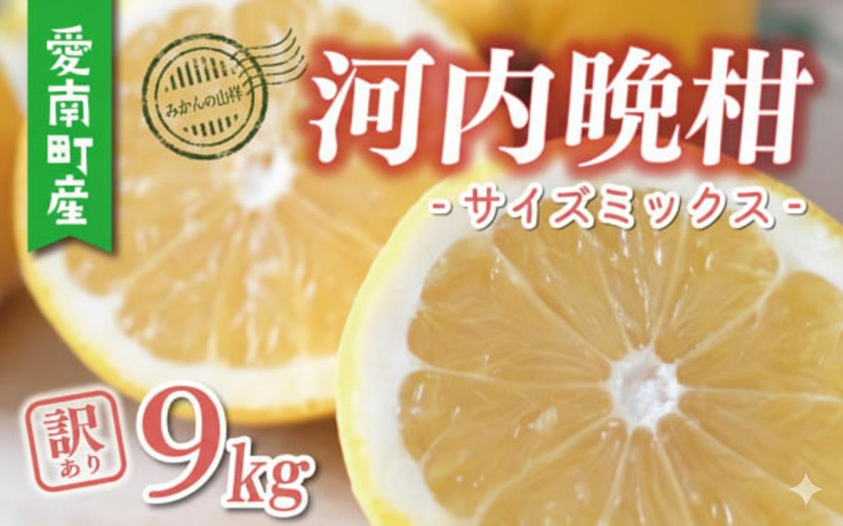 数量限定 先行予約 河内晩柑 樹齢 25年以上 訳あり 9kg （ Mサイズ 以上 ） 9000円 みかん mikan 蜜柑 ミカン わけあり かわちばんかん 愛南ゴールド あいなん ゴールド 文旦 派生 和製 グレープフルーツ 産地直送 国産 農家直送 期間限定 特産品 ゼリー ジュース アイス 等に 人気 限定 甘い さわやか フルーツ 果物 柑橘 蜜柑 みかんの山祥 愛南町 愛媛県