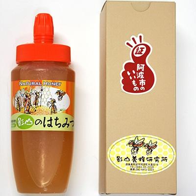 ふるさと納税 阿波市 【阿波産】”天然”影山のはちみつ チューブタイプ500g×1本