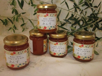 a10-1255　あんず 無添加 手作り ジャム 5本セット