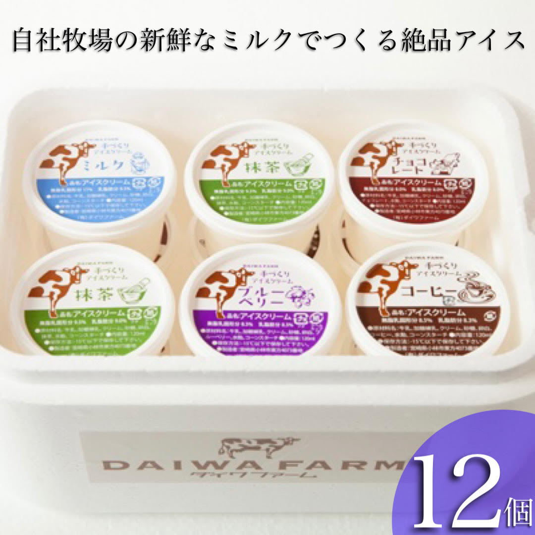 【ふるさと納税】【人気！】搾りたてミルクのアイスセット 12個 アイス スイーツ デザート 乳製品 生乳 牛乳 カップアイス 小分け 地域限定 ふるさと 人気 おすすめ 贈答 ギフト お裾分け プレゼント 宮崎県 小林市 送料無料