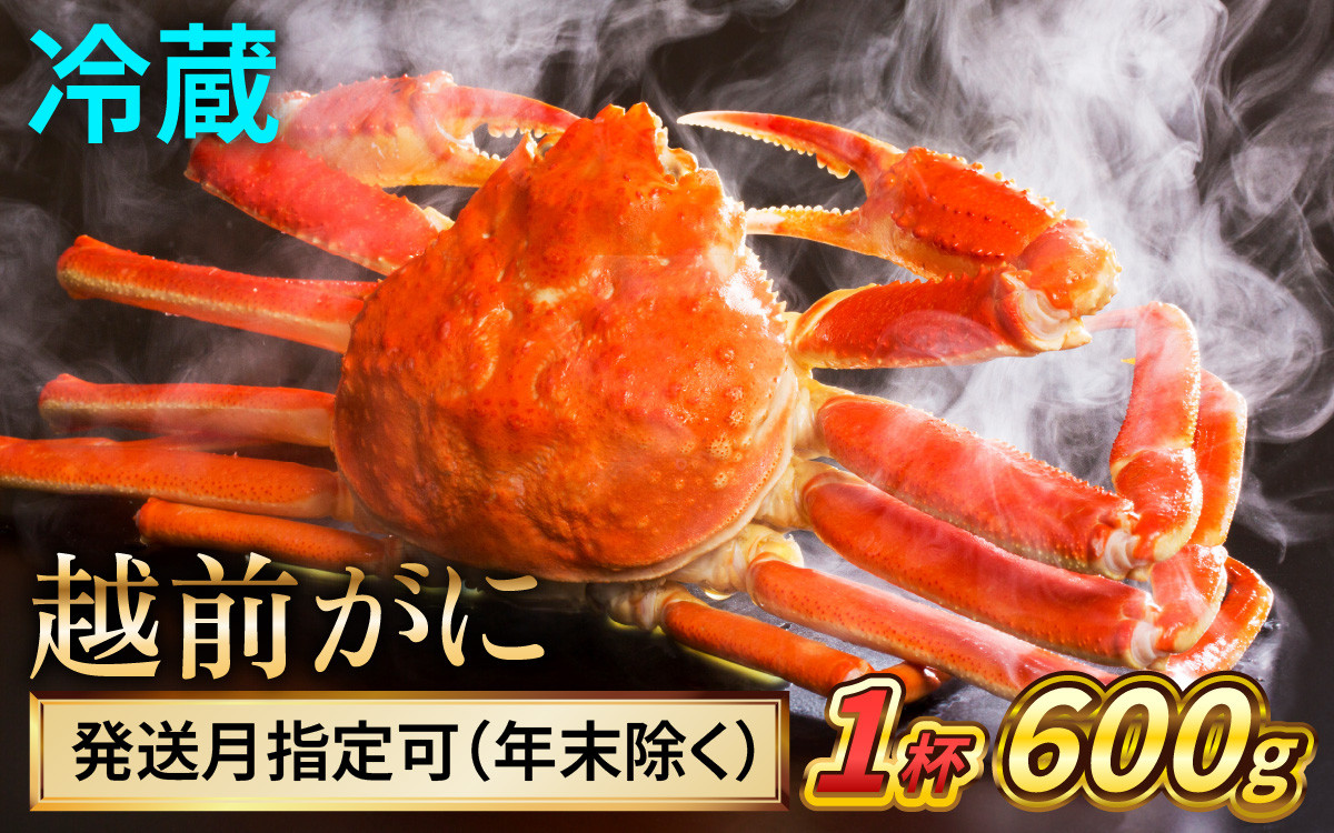 
            【先行予約】 【希望月指定可】 越前がに 600ｇ×1杯 / 蟹 ズワイガニ ずわいがに ボイル 冷蔵 小浜市 / まるほ商店 【配送不可地域：北海道・沖縄・離島】[BFCS018]
          