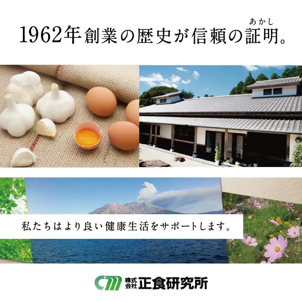 【健康補助食品】にんにく卵黄ソフト300（62粒入り×3袋） 健康 美容 食品 ニンニク 国産 スタミナ 滋養 正食研究所 鹿児島 南さつま市