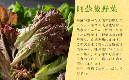 阿蘇を感じる阿蘇蔵サラダ野菜の朝食セット 新鮮野菜　阿蘇の味　健康的な食生活 詰め合わせ　野菜宅配 産地直送 採れたて 人気 美味しい 熊本 阿蘇