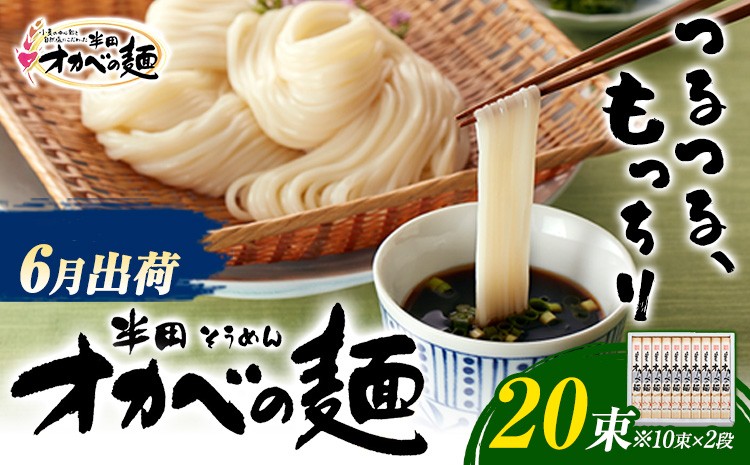「オカベの麺」 1束90g 20束 《2027年6月発送》徳島県 美馬市 株式会社オカベ  オカベの麺 素麺 乾麺 送料無料 めんつゆ無し