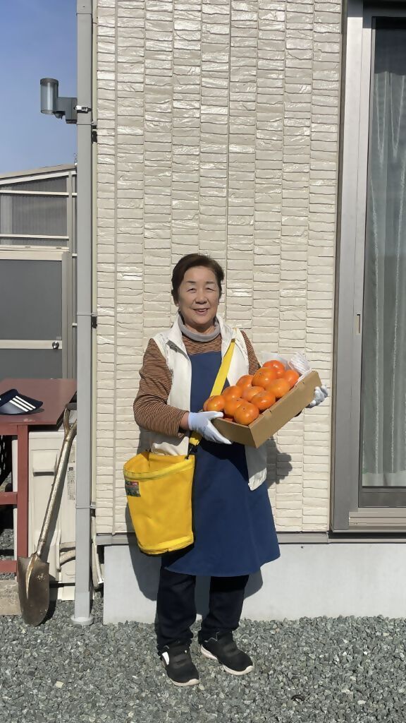 柿づくり40年以上　きんちゃん農園の次郎柿　5kg　KCN-01