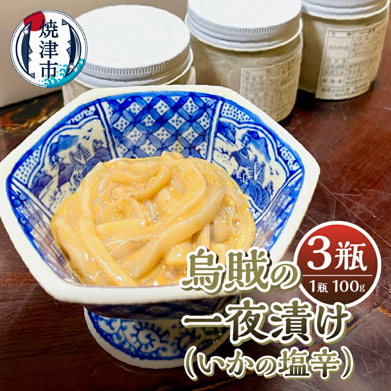 【ふるさと納税】 いか 塩辛 一夜漬け 瓶詰 100g×3瓶 ワタ 醤油 シンプル 新鮮 お子様からご年配の方まで おつまみ 肴 ご飯のおとも おかず 焼津 a10-1071
